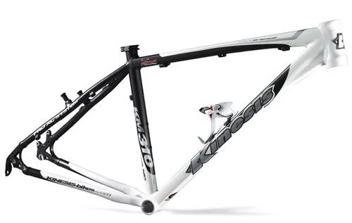 Kinesis Frame km310