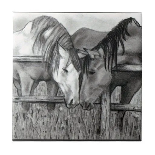 Caballos salvajes a lapiz - Imagui