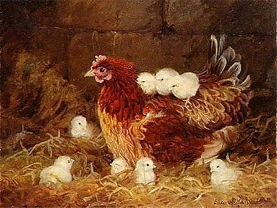Kits de punto de cruz estampado, gallinas y pollitos, patrones fáciles, manualidades de bordado, suministros de punto de cruz, costura de 16x20 pulgadas : Amazon.com.mx: Hogar y Cocina Kits de punto de cruz estampado, gallinas y pollitos, patrones fáciles, manualidades de bordado, suministros de punto de cruz, costura de 16x20 pulgadas : Amazon.com.mx: Hogar y Cocina