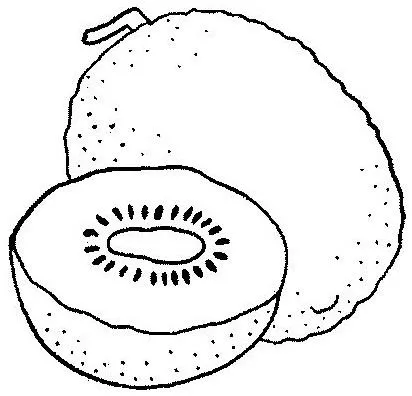 Kiwi para colorear - Imagui