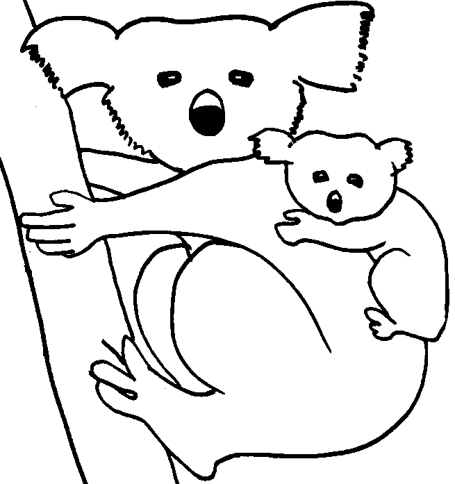 Koala para colorear