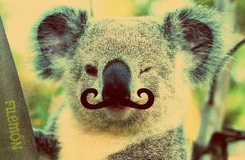 Soy Un Koala (@Sir_K0ala) | Twitter