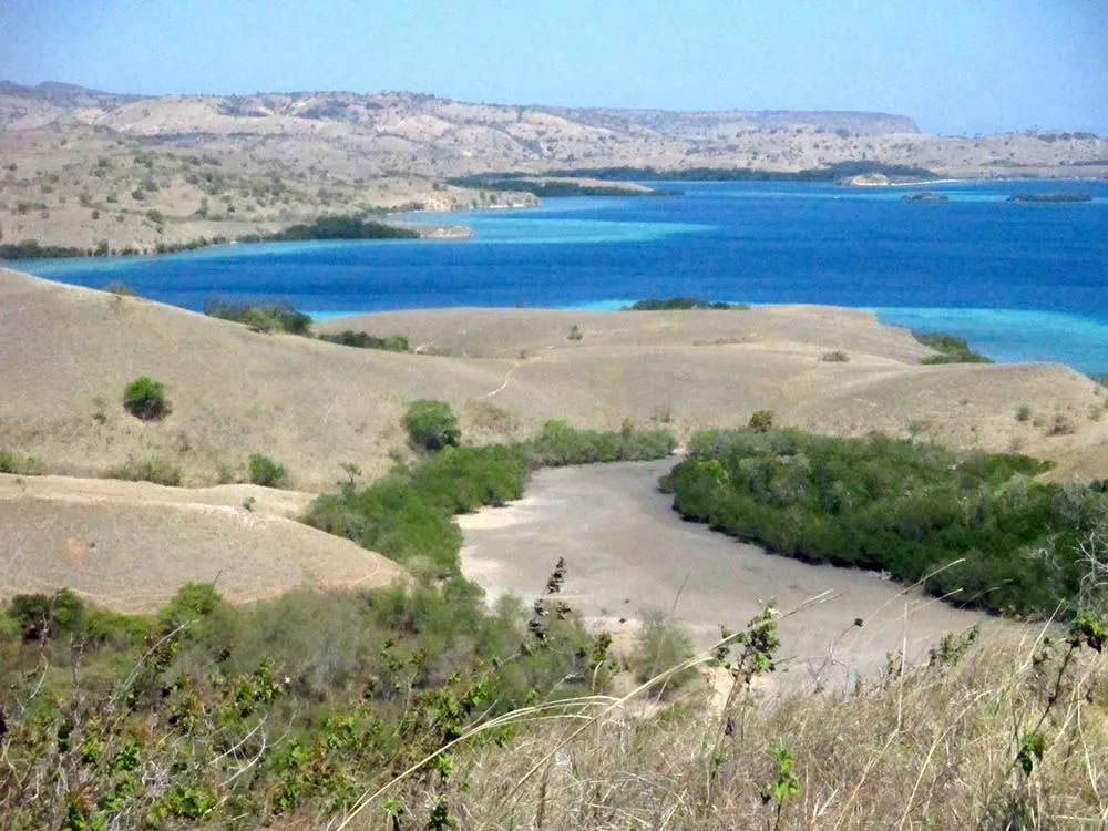 Komodo: dragones, princesas y el vuelo de las mariposas | Caminar ... Komodo: dragones, princesas y el vuelo de las mariposas | Caminar ...