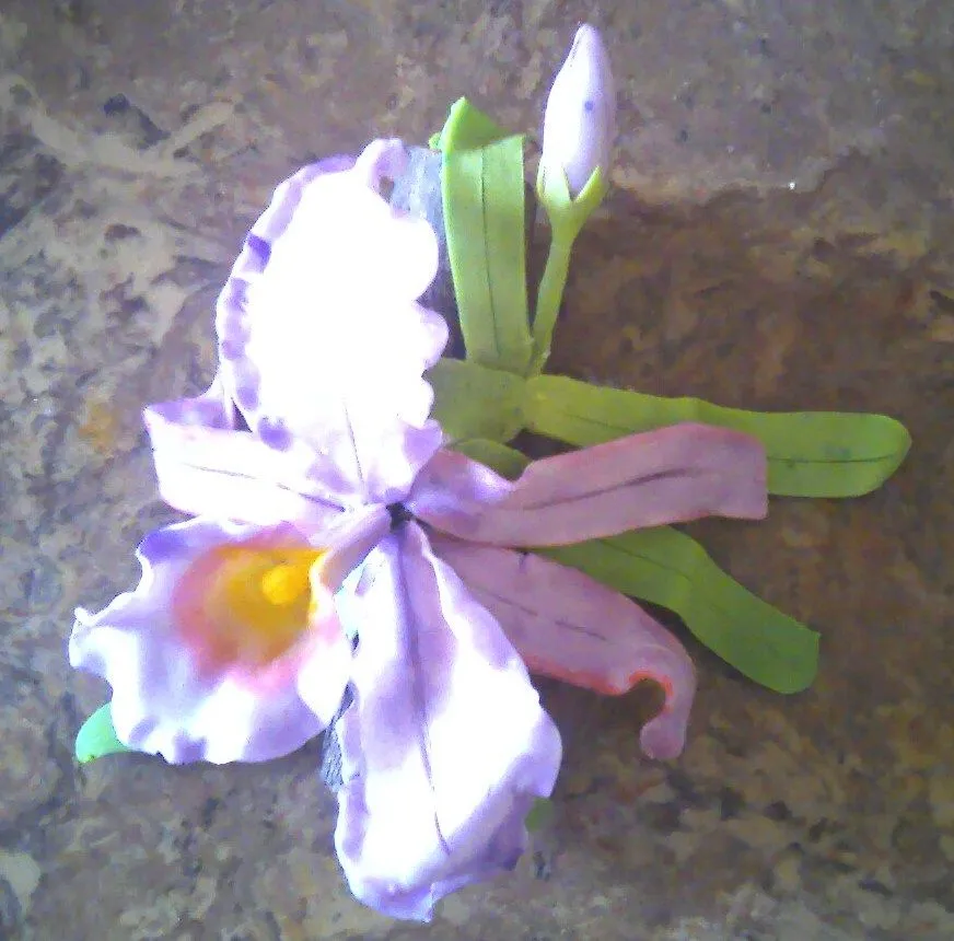 Kositas Nayis's: Orquidea en masa flexible Kositas Nayis's: Orquidea en masa flexible