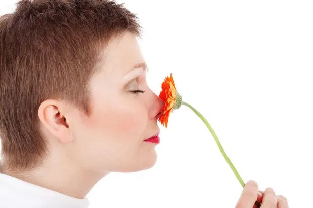 Kukyflor| Cómo perfumar la casa naturalmente con flores