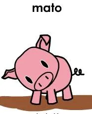 foto de mato: