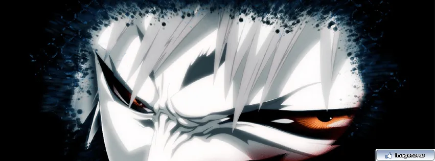Kurosaki Ichigo - Google+