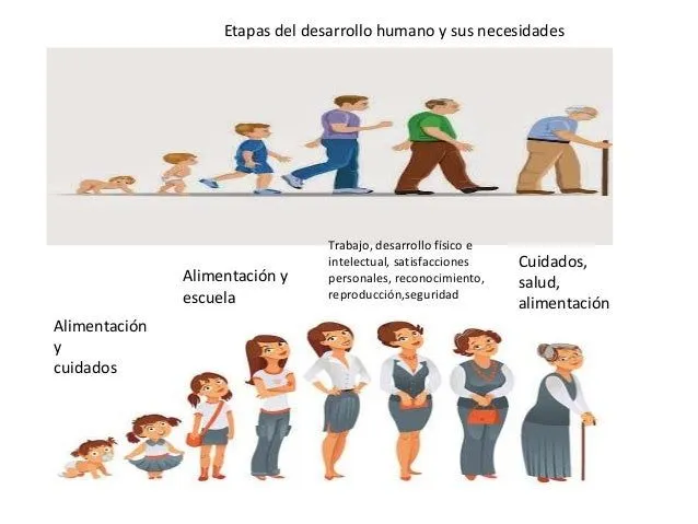 la-dimensin-social-del-anlisis ...