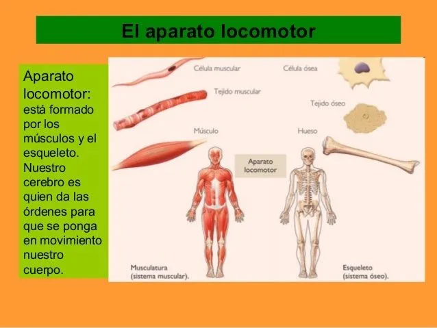 la-funcion-de-relacion-4-638. ...