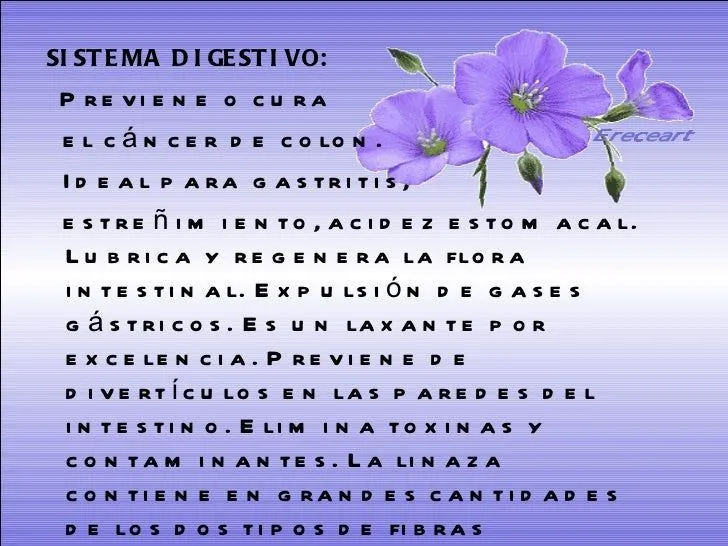 la-linaza-menudos-pequesnet-6- ...
