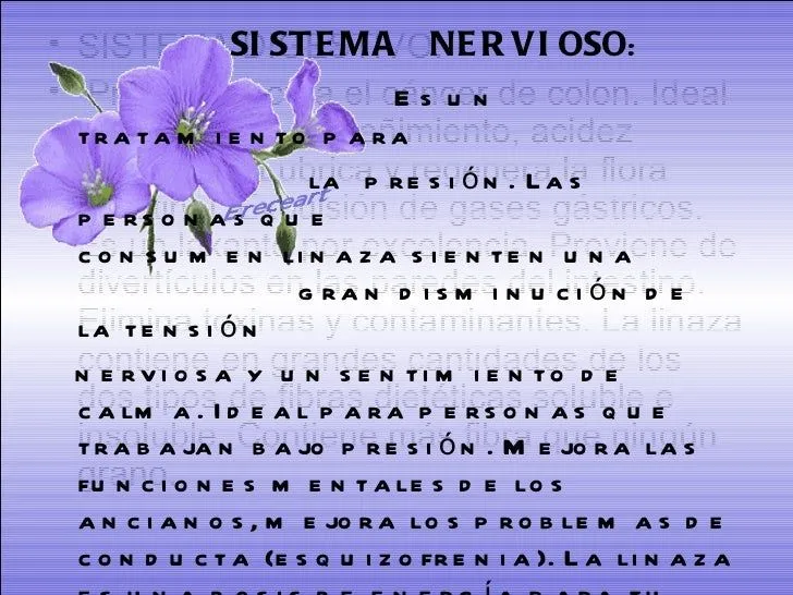 la-linaza-menudos-pequesnet-7- ...