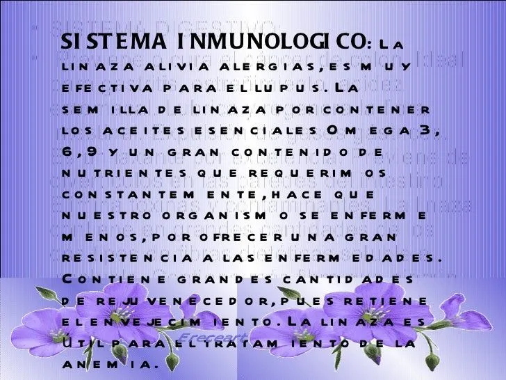 la-linaza-menudos-pequesnet-8- ...