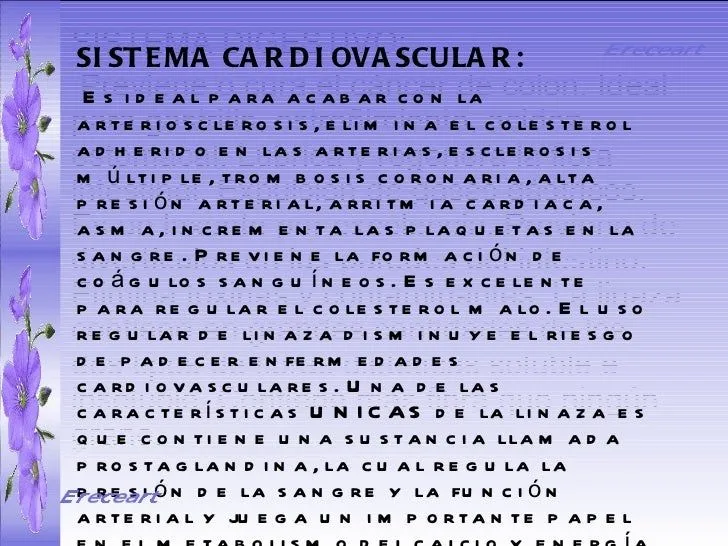 la-linaza-menudos-pequesnet-9- ...