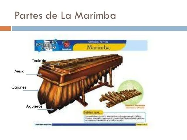 la-marimba-instrumentos- ...