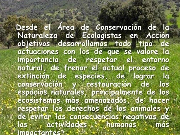 la-naturaleza-diapositivas-8- ...