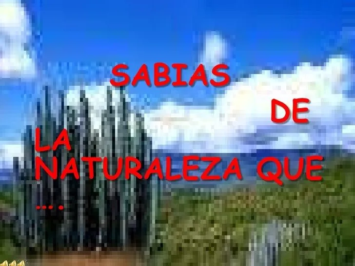 la-naturaleza-diapositivas-9- ...