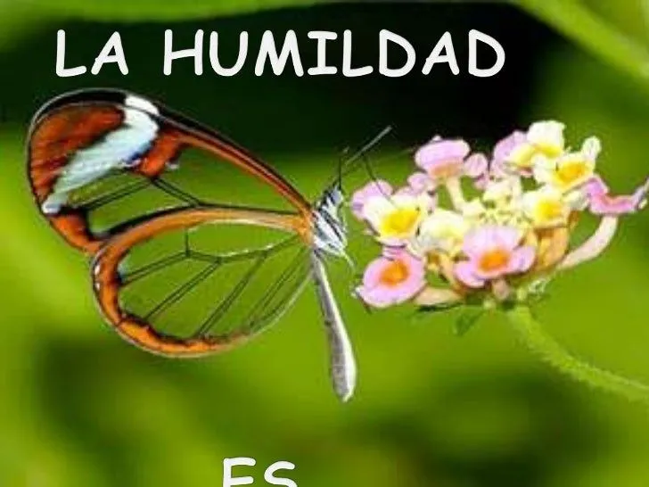 la-sencillez-y-la-humildad-2- ...
