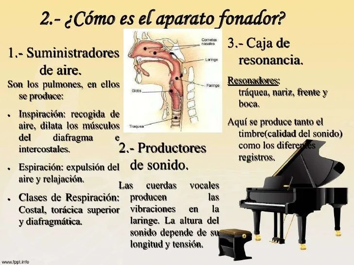 la-voz-y-el-canto-3-728.jpg?cb ...