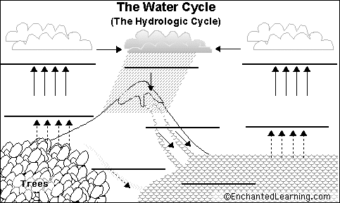 Label Water Cycle Printout - EnchantedLearning.com Label Water Cycle Printout - EnchantedLearning.com