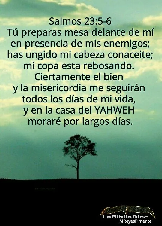 LaBibliaDice: Salmo 23 (5)