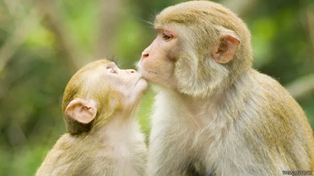 Por que tenemos labios? | Radio Paulina 89.3