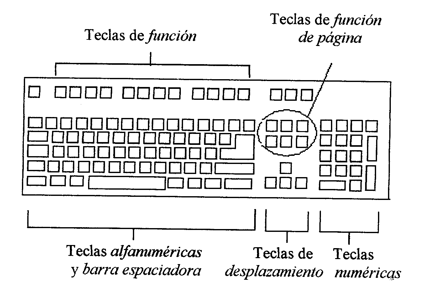 Laboratorio de Computación: Conociendo las partes del Teclados Laboratorio de Computación: Conociendo las partes del Teclados