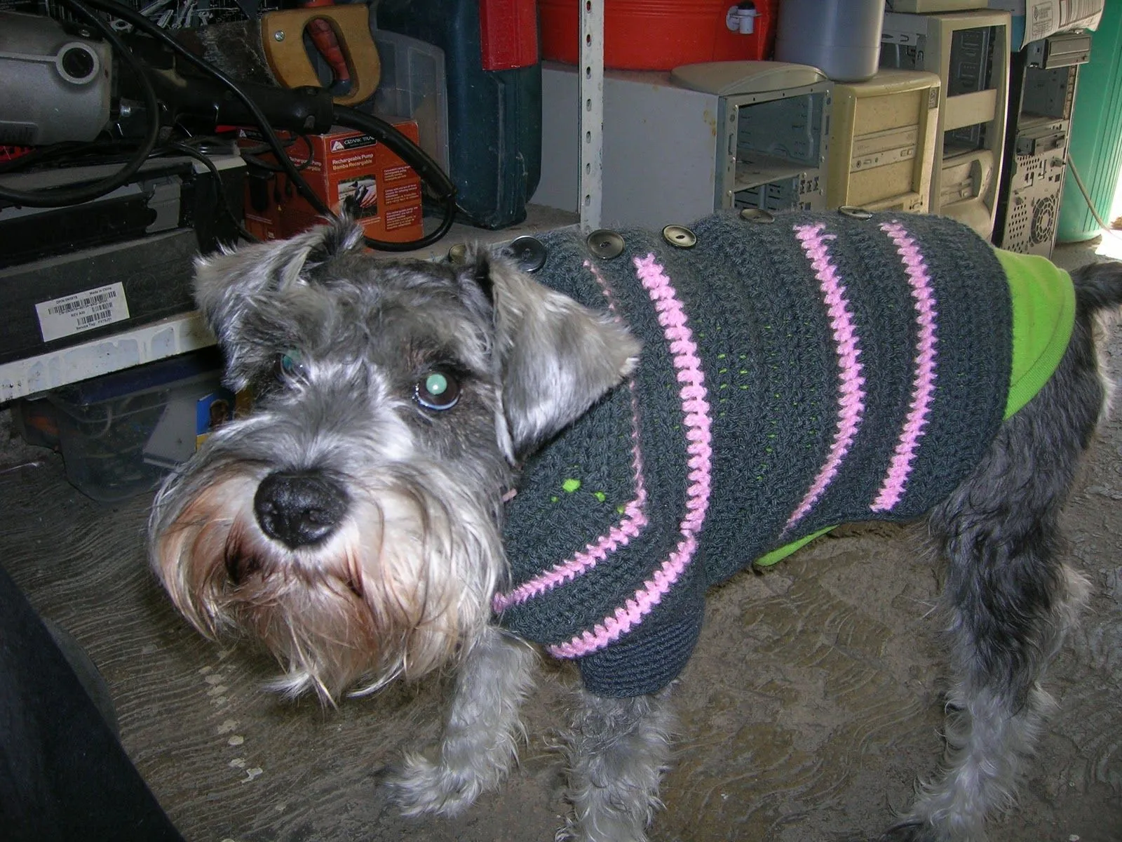 Mis labores en Crochet: Sueter para perro