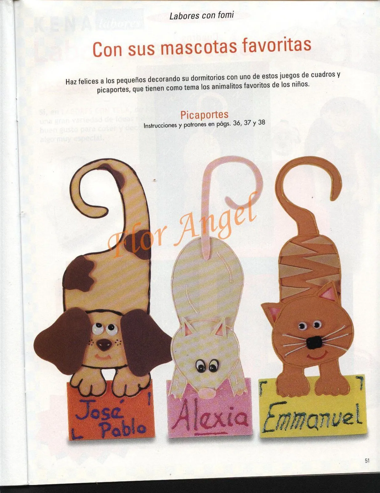 LABORES EN FOAMI - Imagui