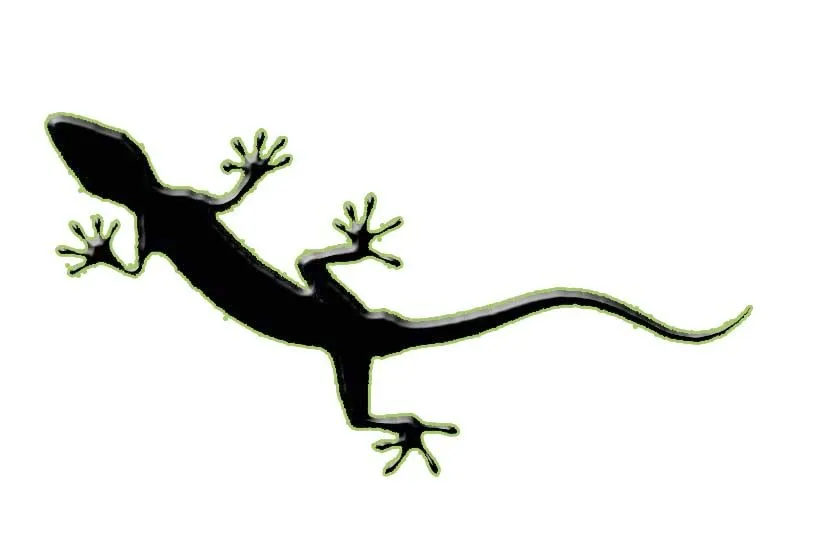 MITO AFRICANO | mitoafricano2011