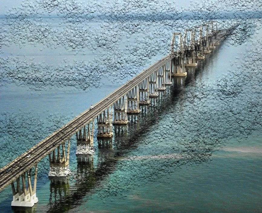 Lago-De-Maracaibo.jpg, Pintura por Nayibe | Artmajeur Lago-De-Maracaibo.jpg, Pintura por Nayibe | Artmajeur