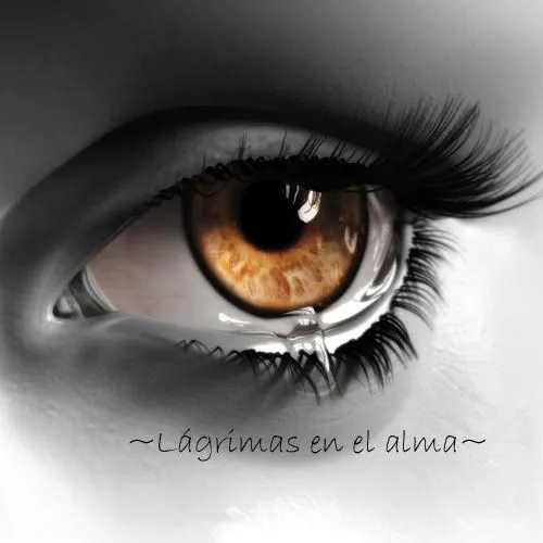 Tu sentir en imágenes - Página 5