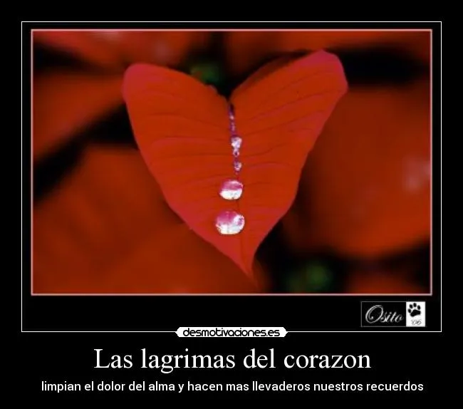 Las lagrimas del corazon | Desmotivaciones