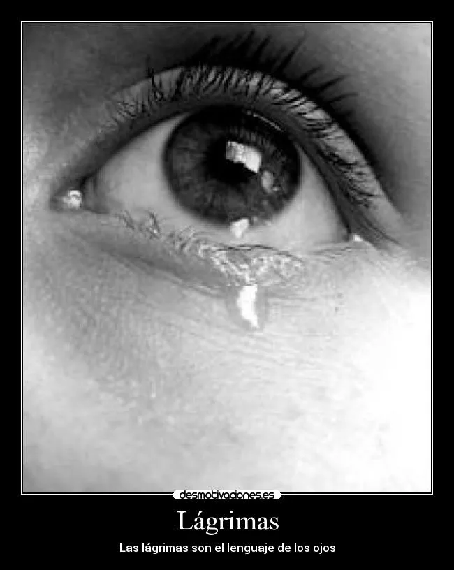 Lágrimas | Desmotivaciones
