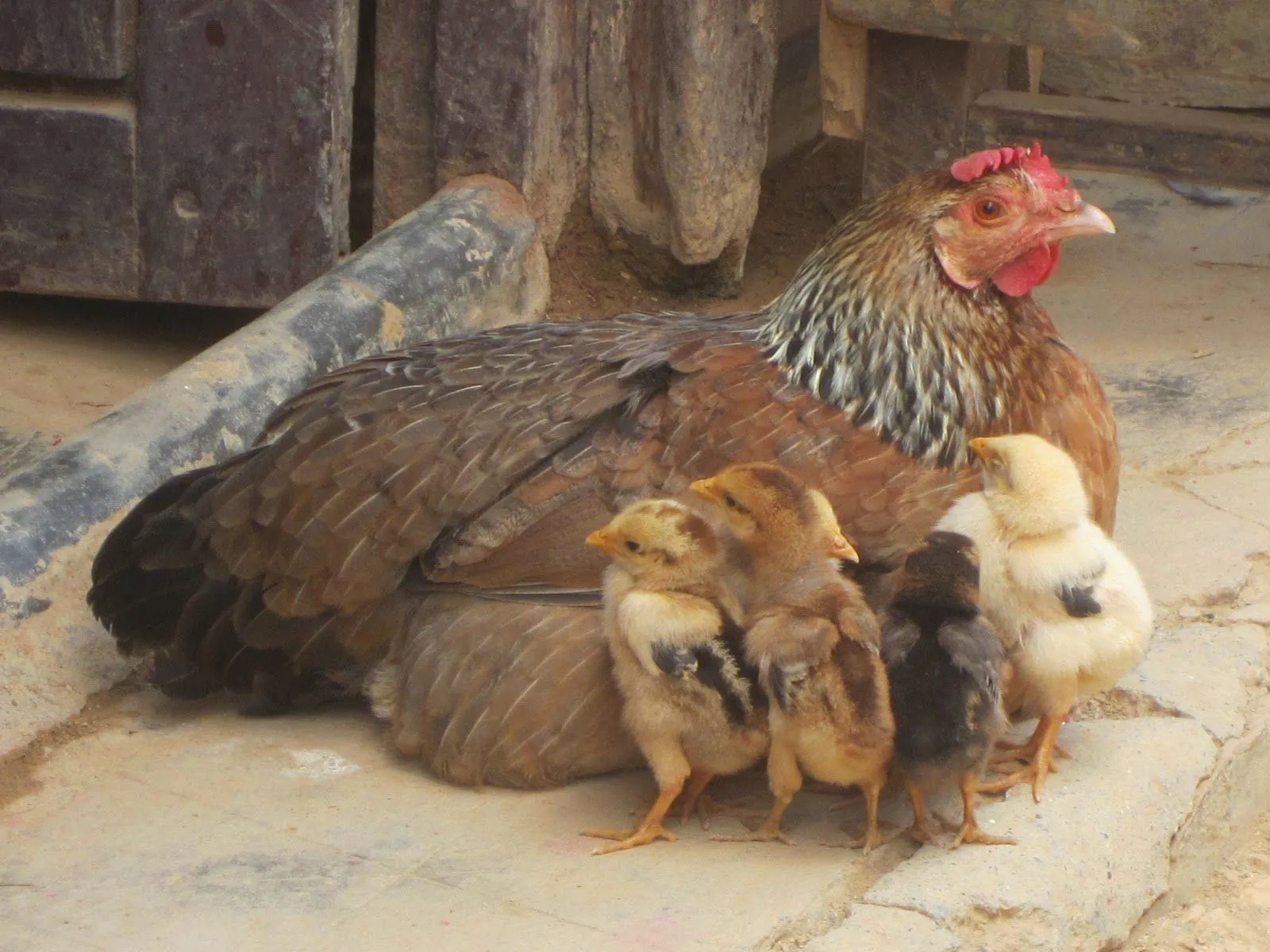 Dónde está Laia?: junio 2011 Dónde está Laia?: junio 2011