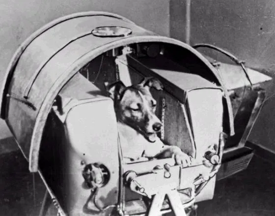 Laika, la perrita astronauta – Misterios