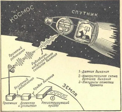 Laika, la perrita astronauta – Misterios