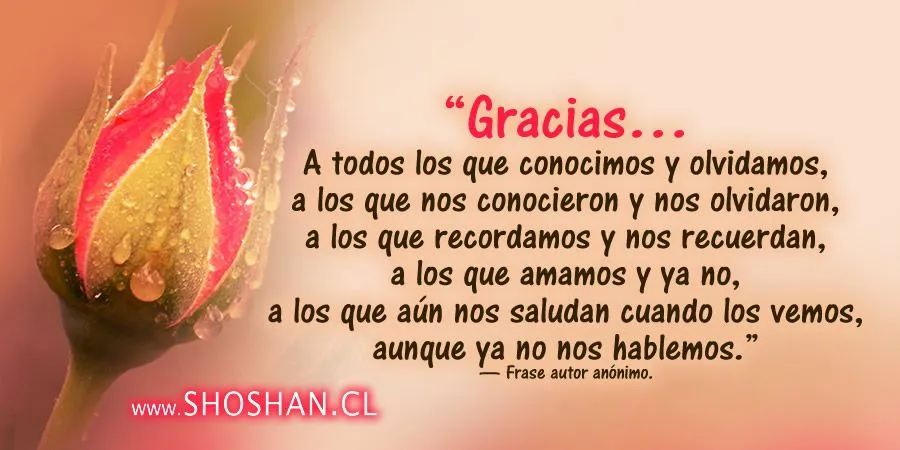 Frases de agradecimientos laborales - Imagui Frases de agradecimientos laborales - Imagui