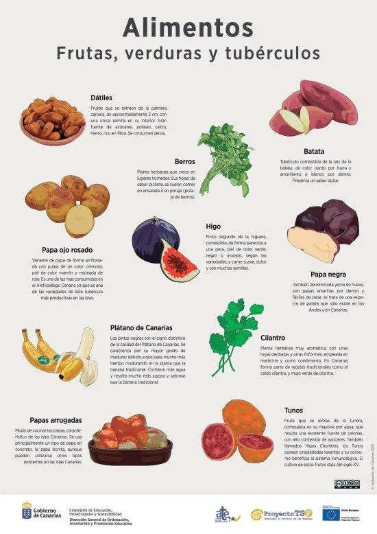 Lámina: Alimentos frutas y verduras » Recursos educativos digitales Lámina: Alimentos frutas y verduras » Recursos educativos digitales