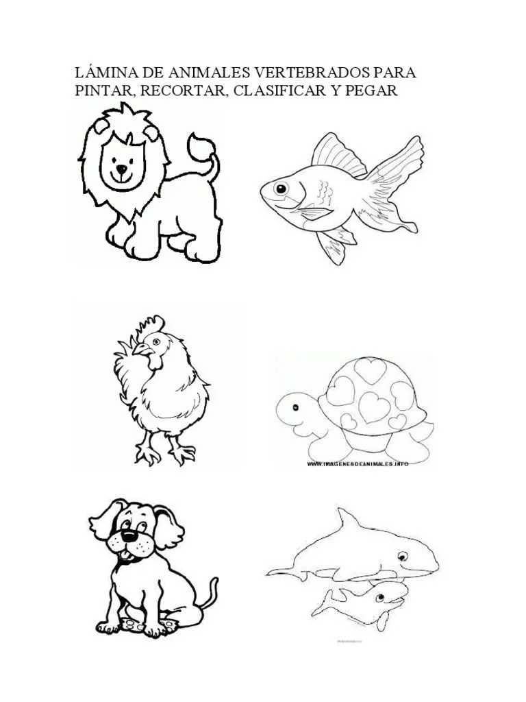 Lamina Clase de Vertebrados | PDF