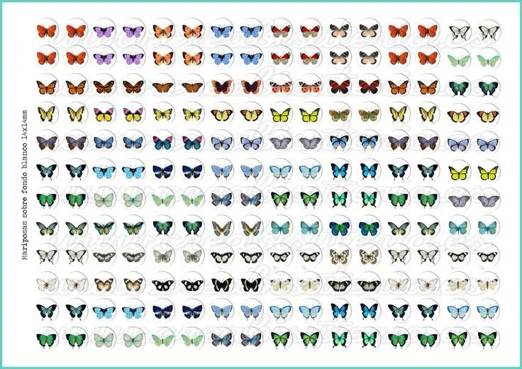 Lámina de imágenes para camafeos Mariposas fondo blanco http://www ... Lámina de imágenes para camafeos Mariposas fondo blanco http://www ...