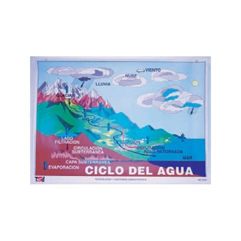 LÁMINA MURAL EL CICLO DEL AGUA - IBD Ciencia LÁMINA MURAL EL CICLO DEL AGUA - IBD Ciencia