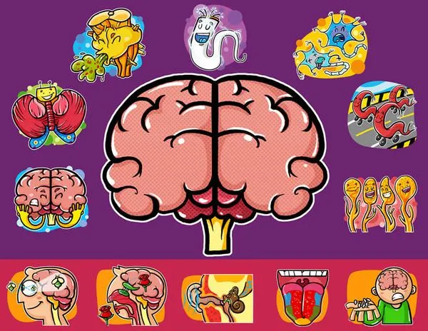 Imagenes de los 5 sentidos - Imagui