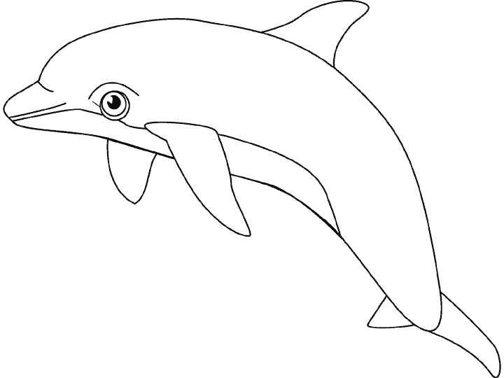 Dibujos para colorear de Peces, pez, Plantillas para colorear de ... Dibujos para colorear de Peces, pez, Plantillas para colorear de ...