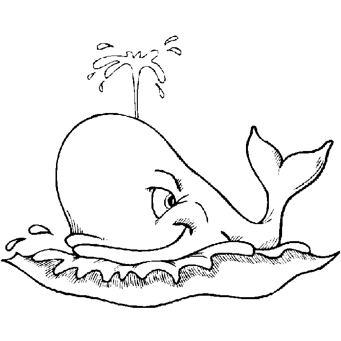 LAMINAS PARA COLOREAR - COLORING PAGES: Animales para dibujar ... LAMINAS PARA COLOREAR - COLORING PAGES: Animales para dibujar ...