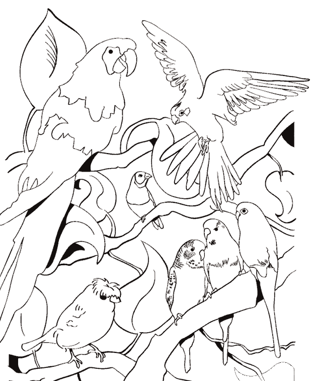 LAMINAS PARA COLOREAR - COLORING PAGES: Animales para dibujar ... LAMINAS PARA COLOREAR - COLORING PAGES: Animales para dibujar ...
