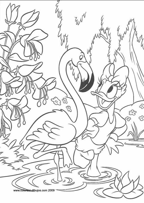 LAMINAS PARA COLOREAR - COLORING PAGES: Daisy (La Pata Daisy) para ... LAMINAS PARA COLOREAR - COLORING PAGES: Daisy (La Pata Daisy) para ...