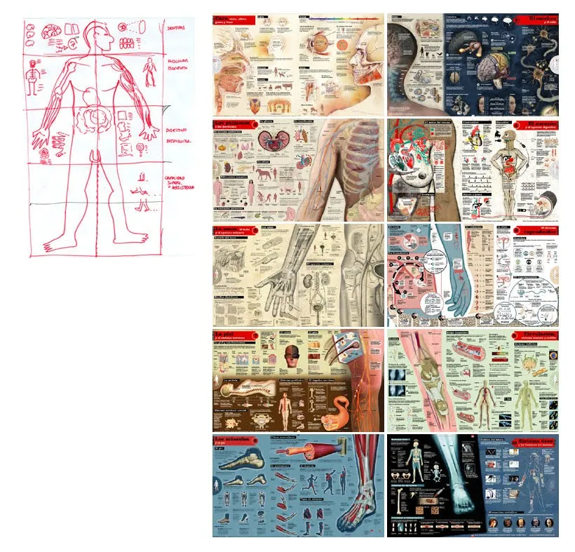 ... Láminas del Cuerpo humano” , para el diario El Mundo (Madrid ... Láminas del Cuerpo humano” , para el diario El Mundo (Madrid