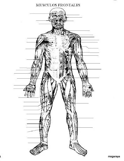 cuerpo89813.jpg?imgmax=640