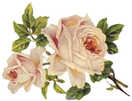 Laminas flores para decoupage - Imagui
