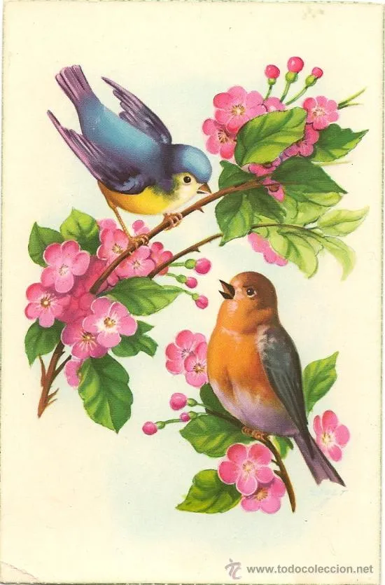 Imagenes de pajaros y flores - Imagui